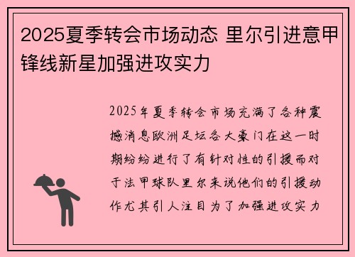 2025夏季转会市场动态 里尔引进意甲锋线新星加强进攻实力